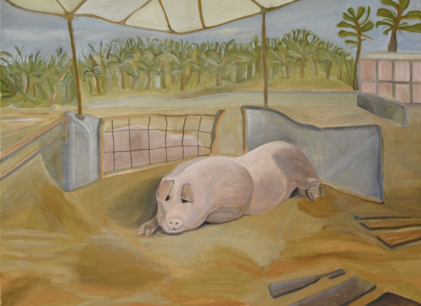 One of Philippe Rudaz's paintings, depicting a pig lying under a canopy in a tropical sunny setting.